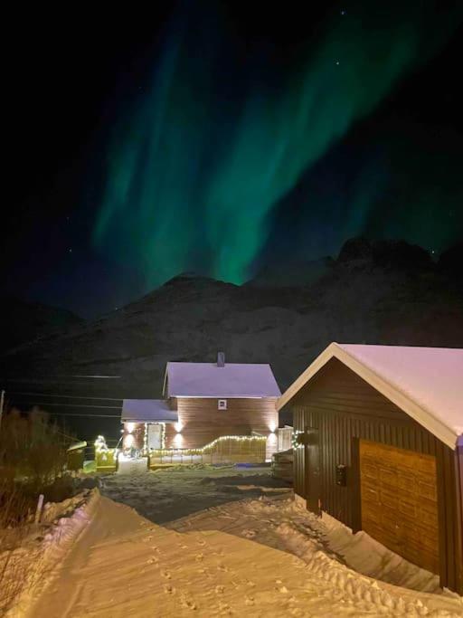 Mountain Aurora View *